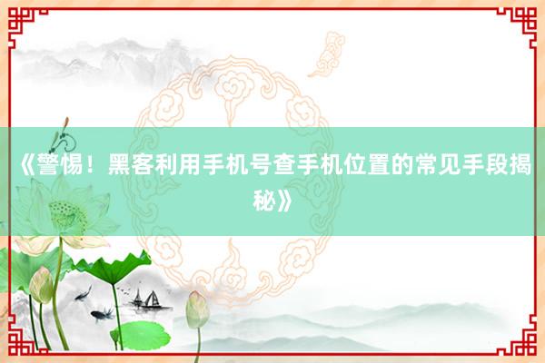 《警惕！黑客利用手机号查手机位置的常见手段揭秘》